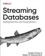 Streaming Streaming Databases (Geheftet)