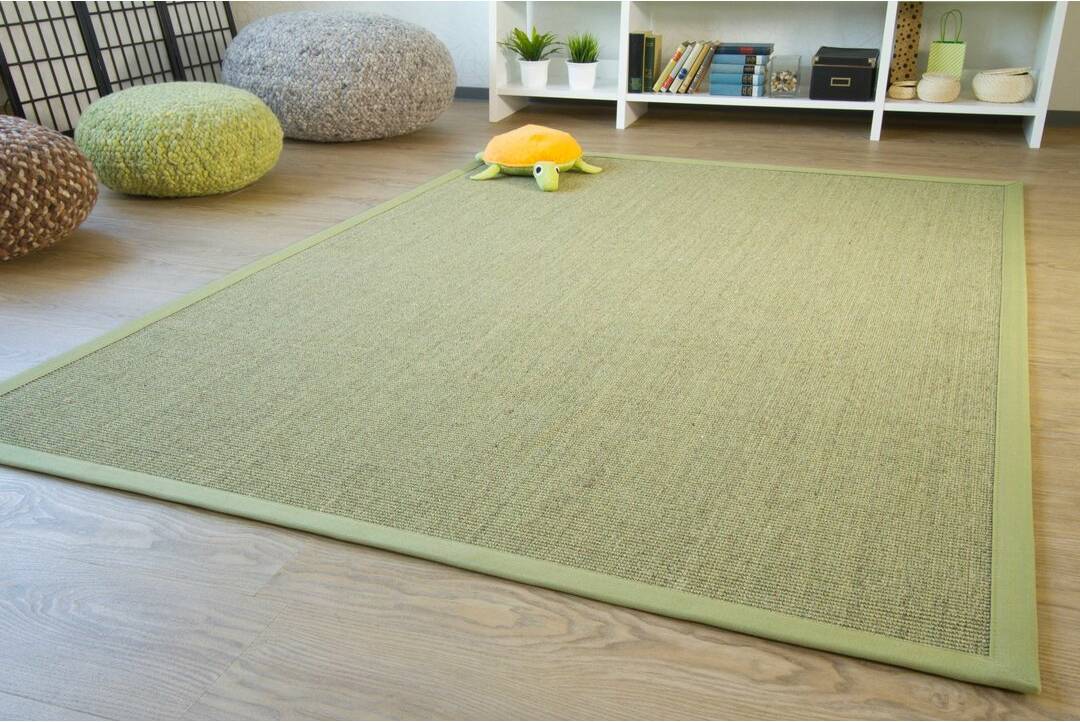 Three Posts Sisal Rug Brentford flat