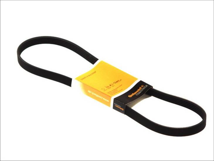 Contitech Drive Belt 202772425