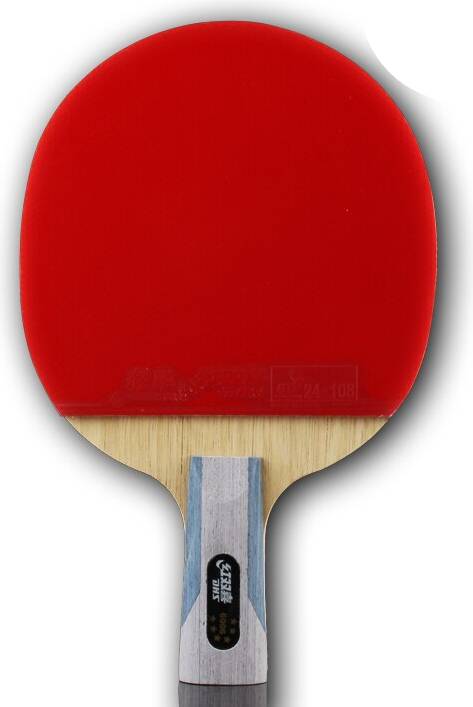 Ping pong table DHS 6002 6006 fl/cs Table Tennis Ping Pong Racket