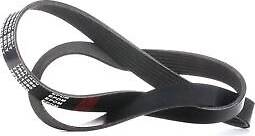 Ridex 305P0320 V-Ribbed Belt