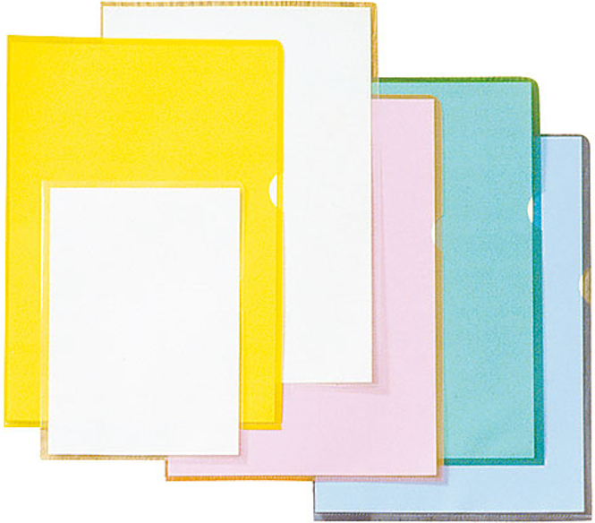 File folder PP A4 100-pack