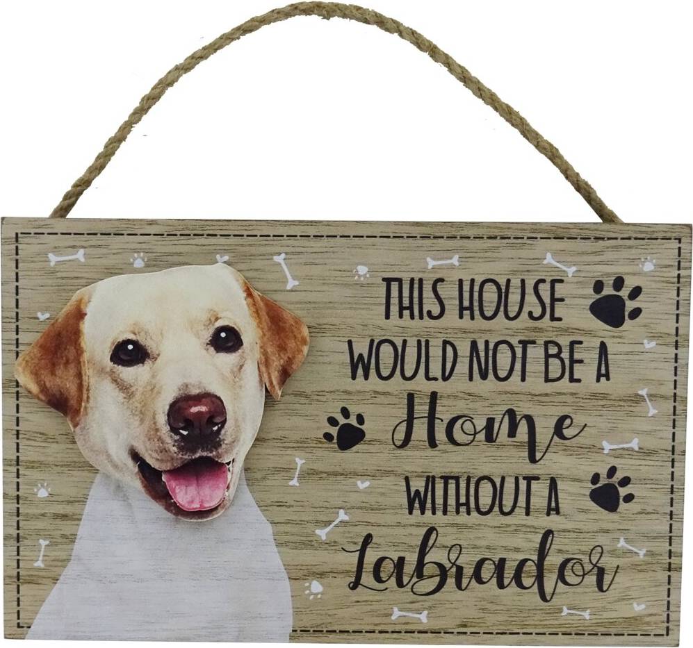 Labrador Golden