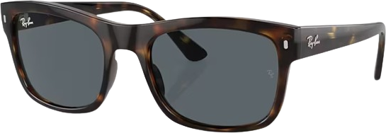Ray-Ban RB4428 710/R5