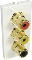 Cables Direct AV-MOD3RCA socket-outlet