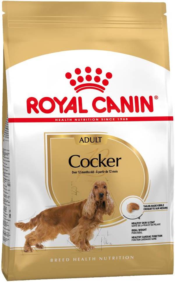 Cocker Adult