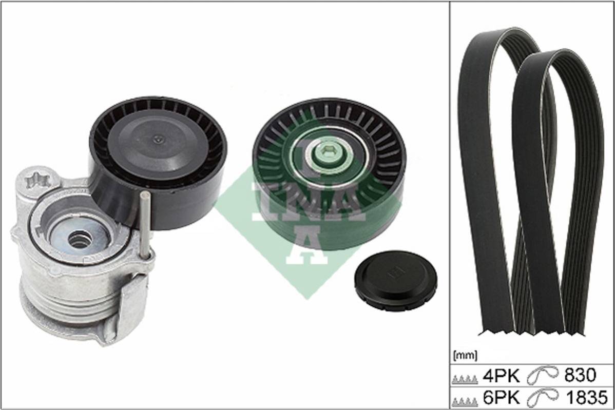INA V-Ribbed Belt Kit