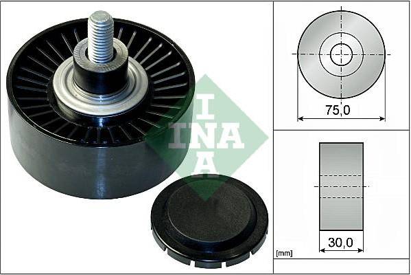 INA Deflection Pulley