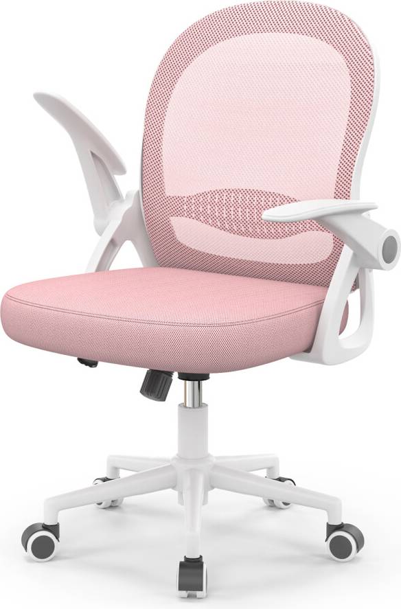 Mid-Back Mesh Pink