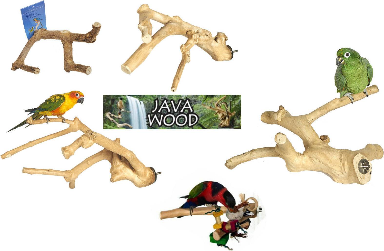 Java Java multi perch for parrots budgies canaries mini