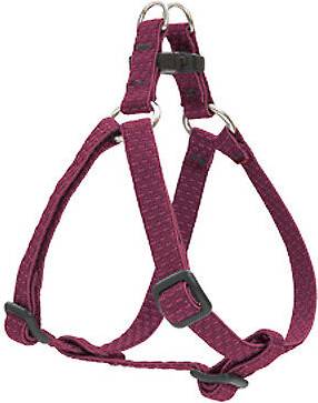 Lupine Berry 12 Inch Step In Hrns