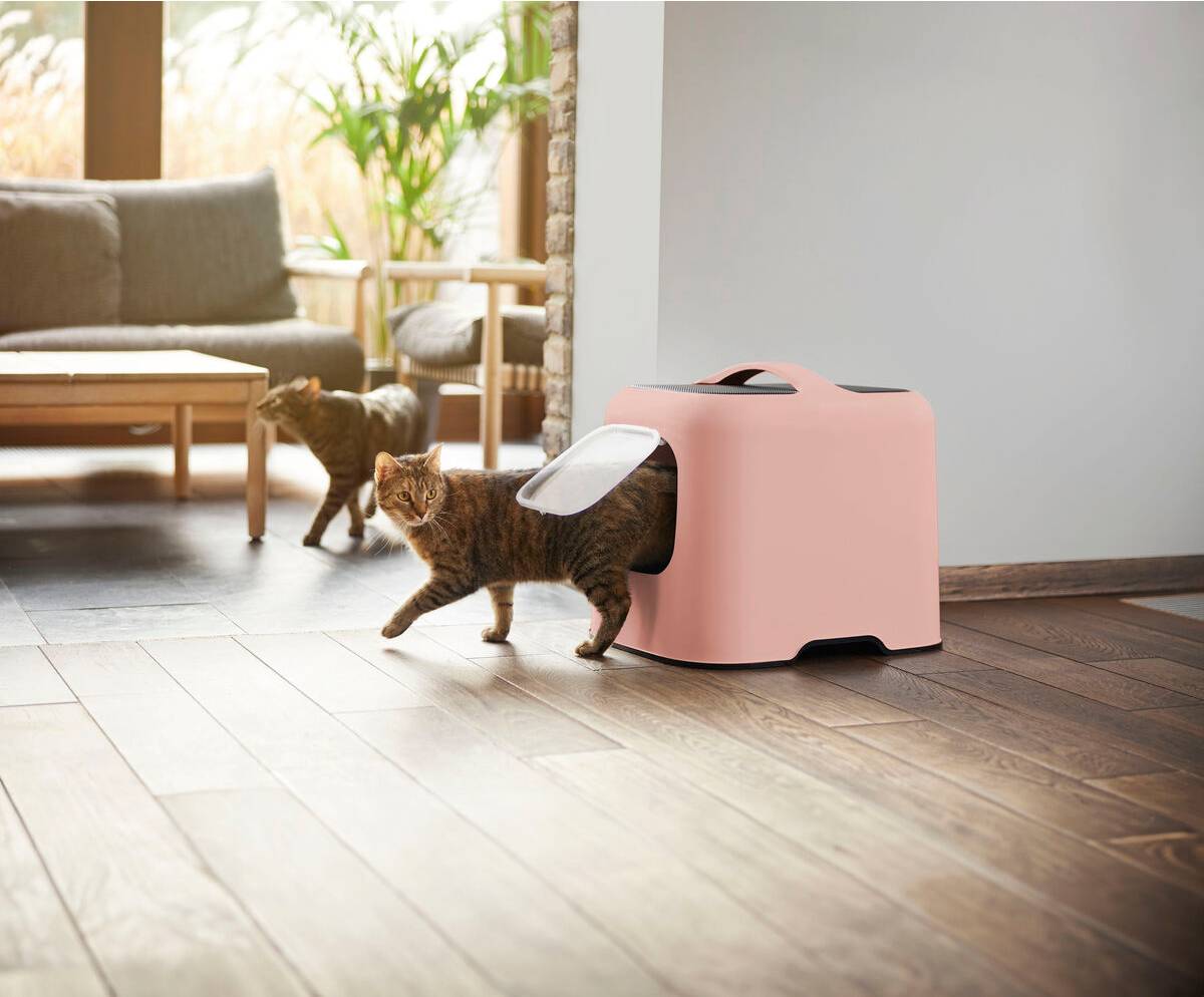 Rotho Litter Box Rotho My Pet Pink
