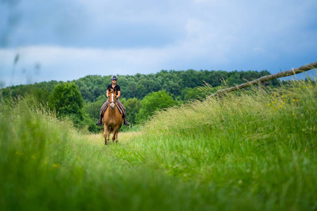 Woman Riding Horse Print