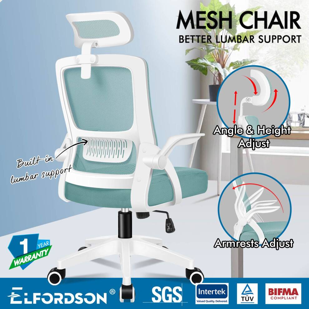 Mesh Executive