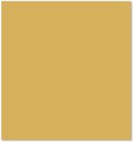 Warren Reed Desert Yellow Kitchen Splash Guard