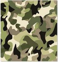 Warren Reed Camouflage Kitchen Green Splash Guard