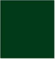 Warren Reed Jungle Green Kitchen W900mm Splash Guard
