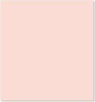 Warren Reed Pink Kitchen W900mm Splash Guard
