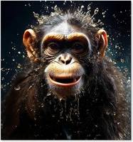 Warren Reed Realistic Monkey Face Kitchen Splash Guard