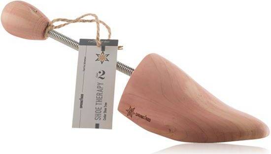 Shoe Tree Spring