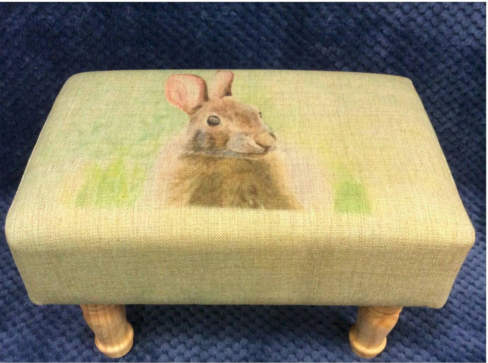 Minster Stylish Living Rabbit rectangular Foot Stool