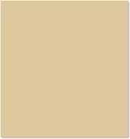 Warren Reed Biscuit Brown Kitchen W900mm Splash Guard