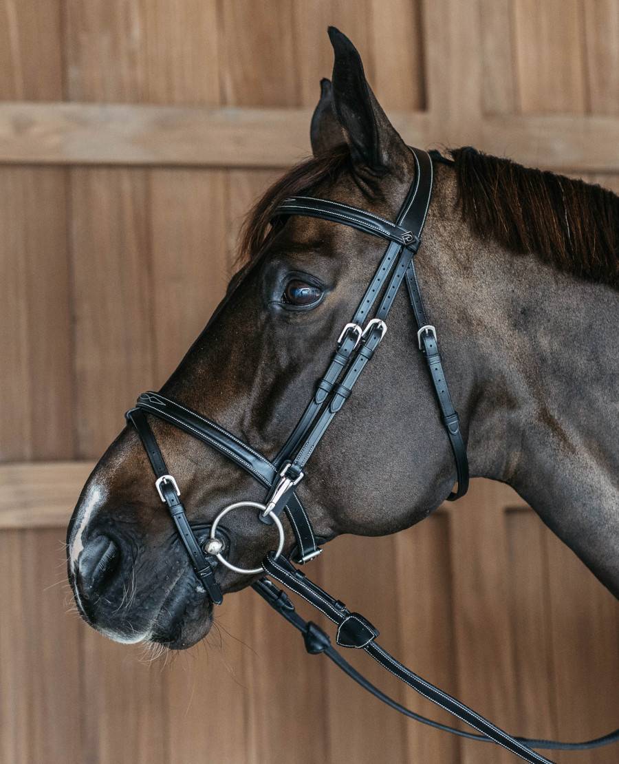 On English Combined Riding Halter With Snap Cheeks Dy’on Flash - Marron