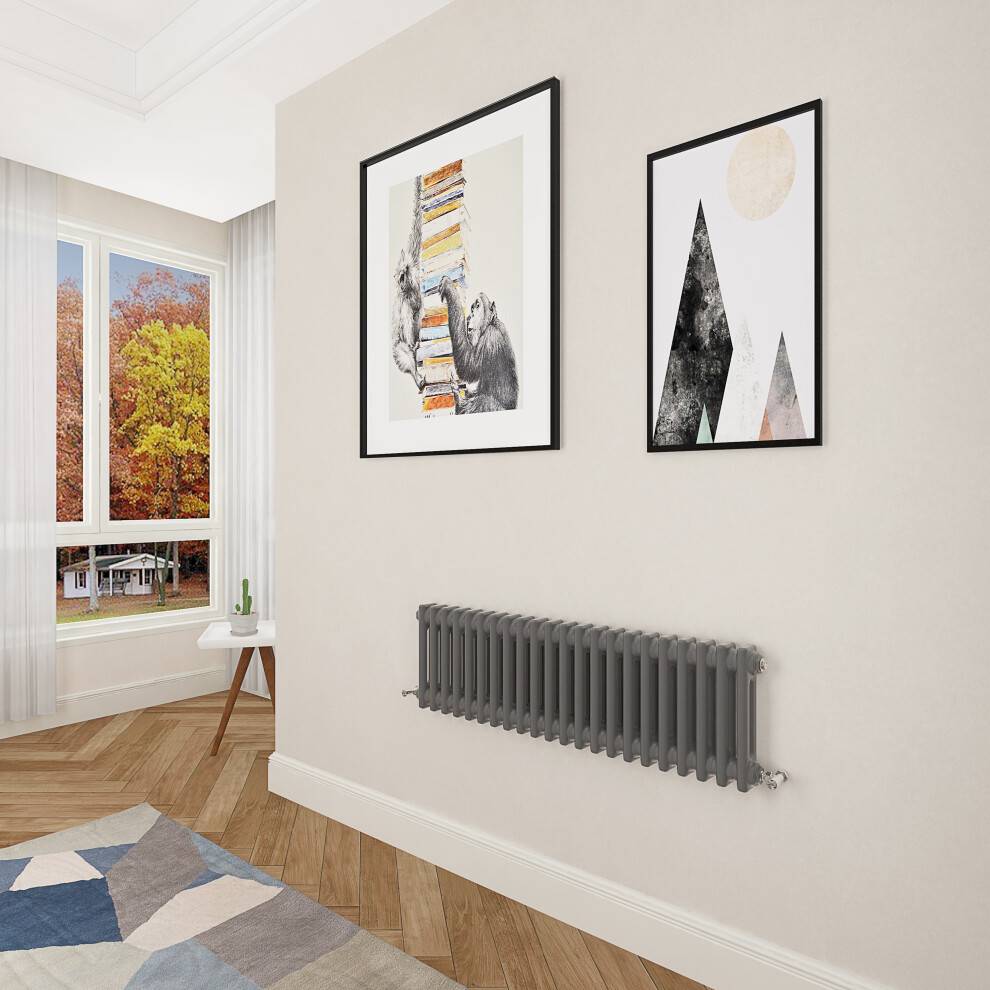 Aica 2 Column Designer Cast Iron Radiator