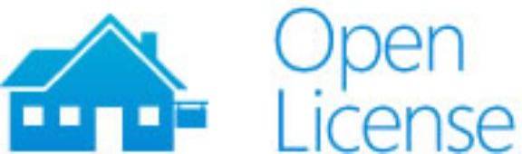 Microsoft Project Pro Open Value