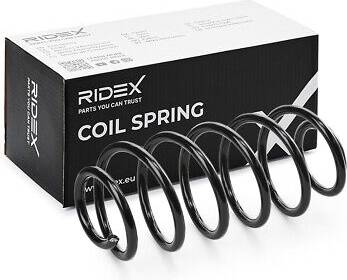 Ridex Coil Spring Rear Axle