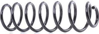 Ridex Coil Spring Rear Axle