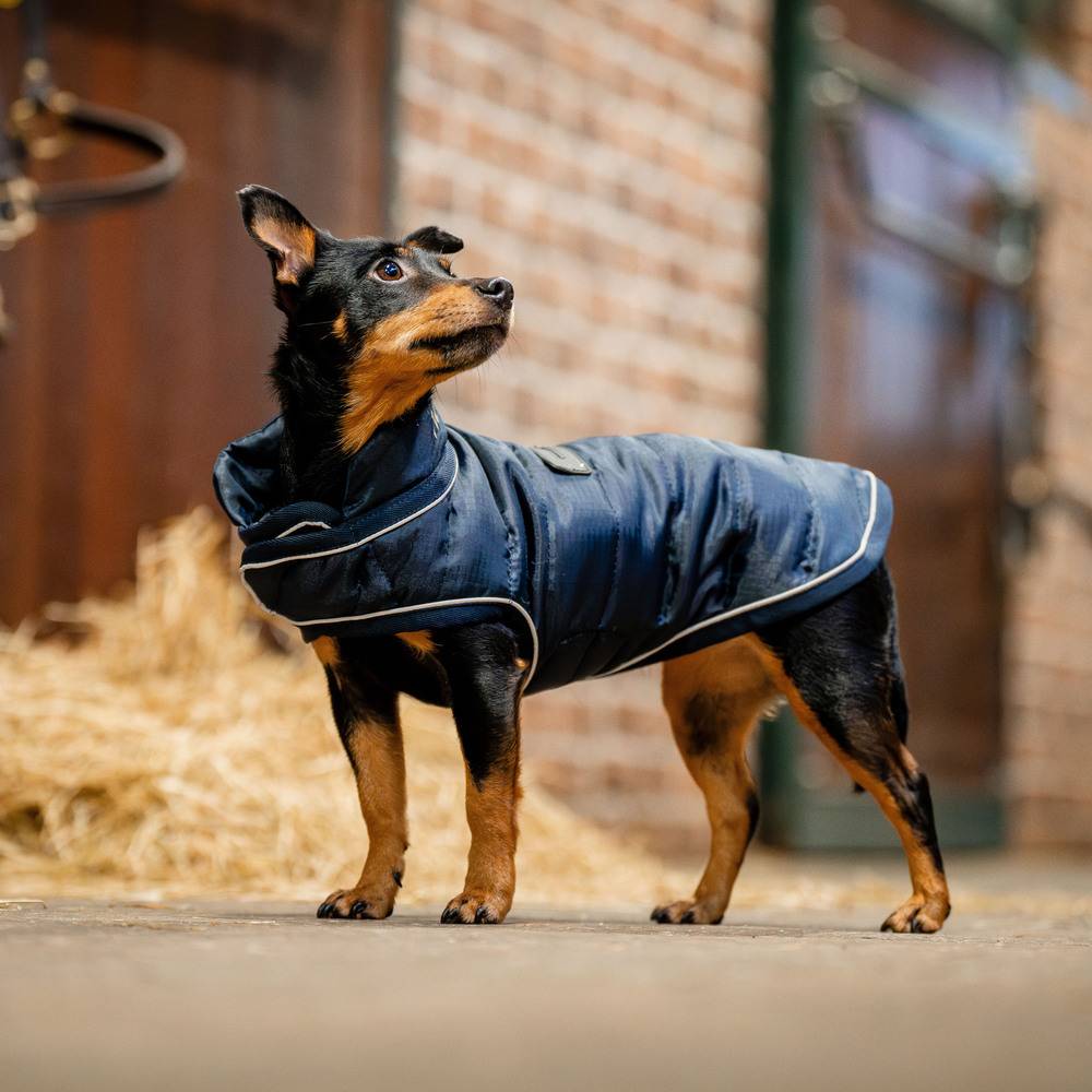 Horseware Signature Dog Rug Navy