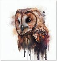 Warren Reed Owl Face Light Background Kitchen Splash Guard