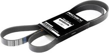 Ridex V-Ribbed Belt 305P0079