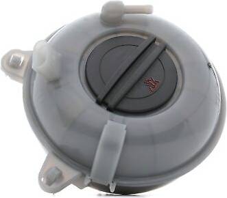 Ridex Expansion Tank With Sensor