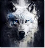 Warren Reed Wolf Face Dark Backgrouns Kitchen Splash Guard