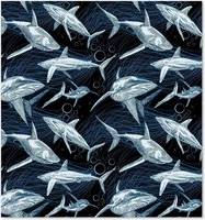 Warren Reed Hand Drawn Shark Pattern Kitchen Splash Guard