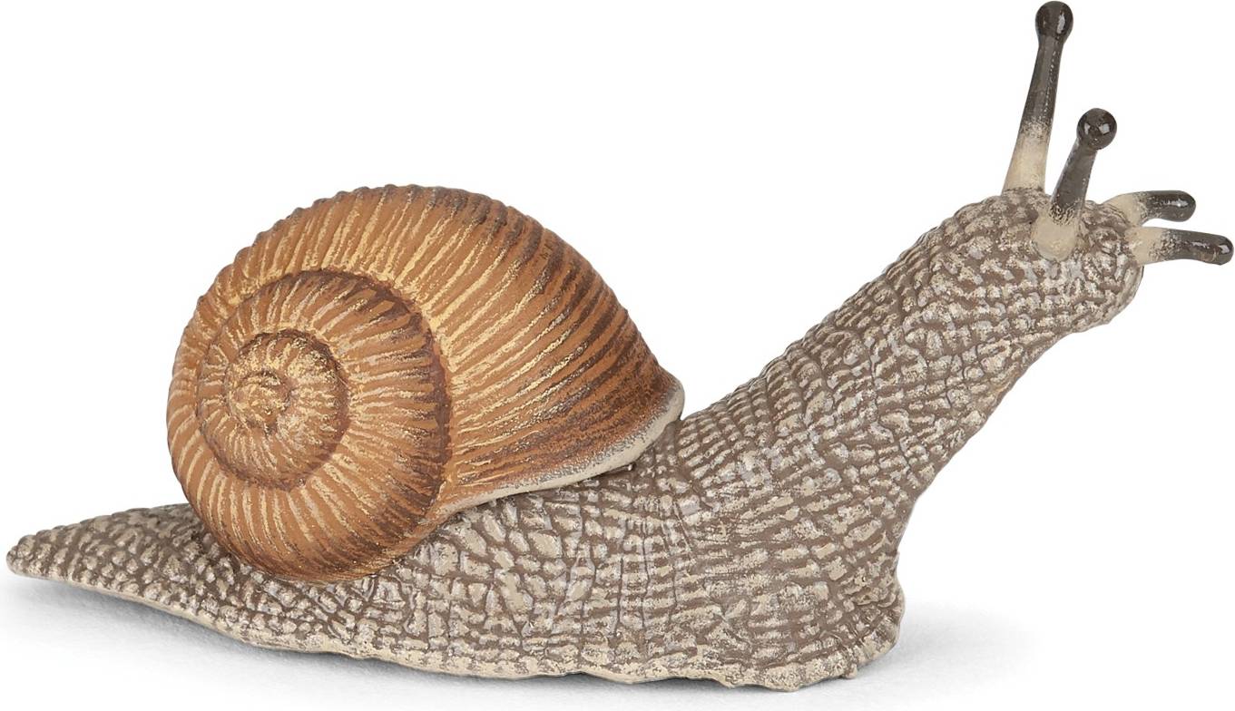 Papo Snail 50262
