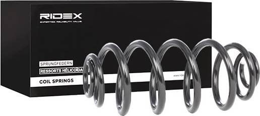 Ridex Coil Spring Rear Axle