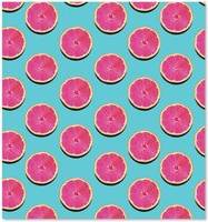 Warren Reed Pattern Of Pink Grapefruit Kitchen 4 Splash Guard