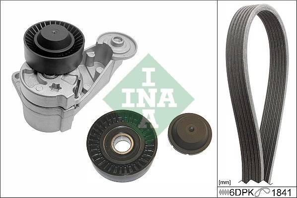 INA V-Ribbed Belt Kit