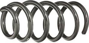 Ridex Coil Spring Rear Axle