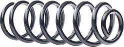 Ridex Coil Spring Rear Axle