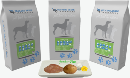 Junior plus 3