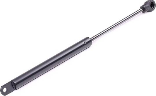 Ridex Gas Spring Rear Window
