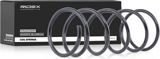 Ridex Coil Spring Front Axle