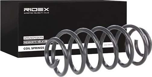 Ridex Coil Spring Rear Axle