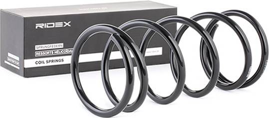 Ridex Coil Spring Rear Axle