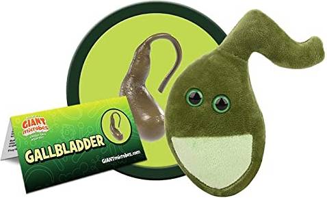 Microbe-Lift Giantmicrobes Gallbladder