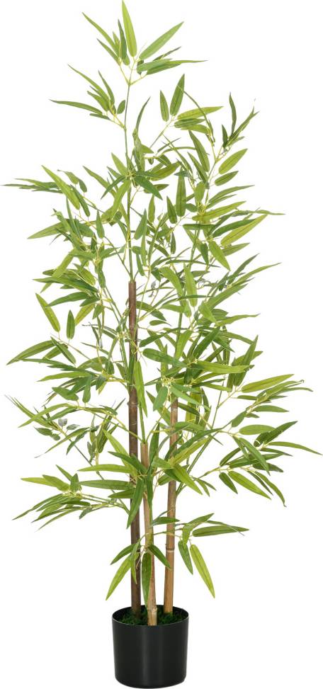Bamboo Tree
